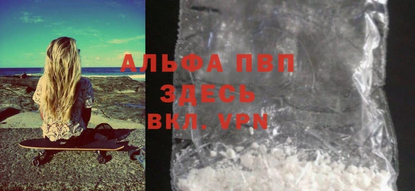 гидра Алексин