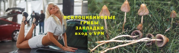 гидра Алексин