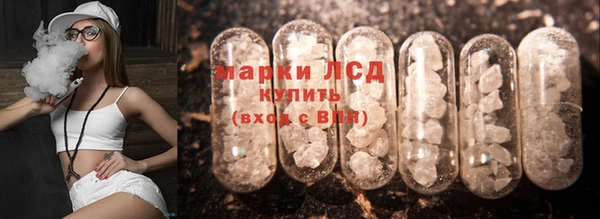 гидра Алексин