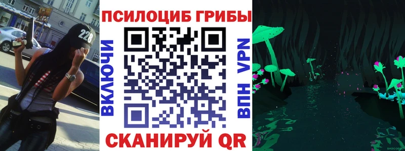 Псилоцибиновые грибы Magic Shrooms  магазин продажи наркотиков  Спасск 